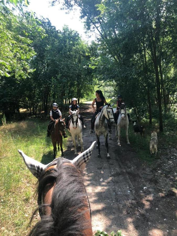 Pirola Music Ranch Guest House B&B Romano di Lombardia Zewnętrze zdjęcie